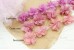 Peonies Chiffon Flower Trim (MEDIUM)  (Pack of 6)